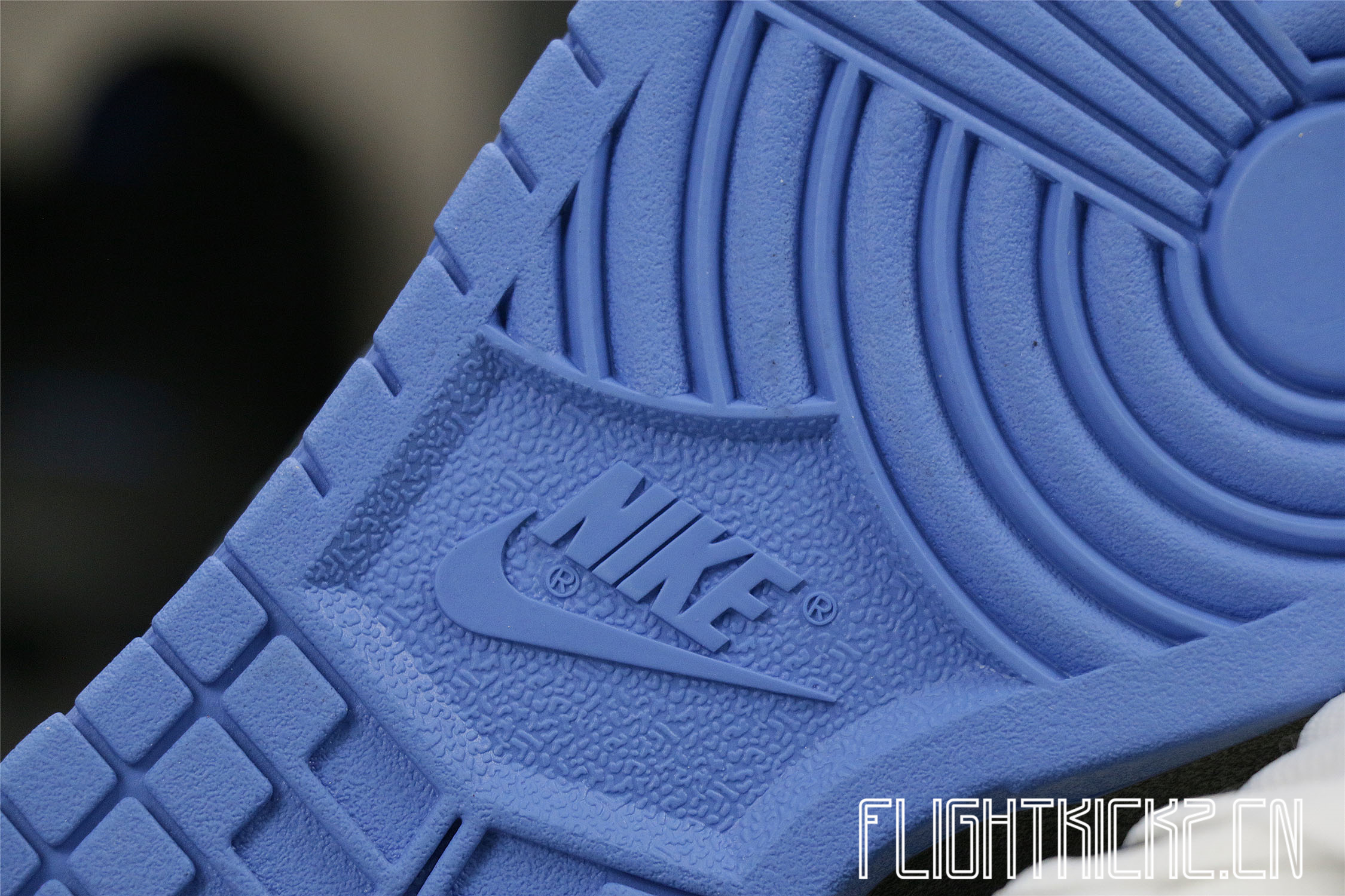 Nike Dunk SB Low Blue Lobster