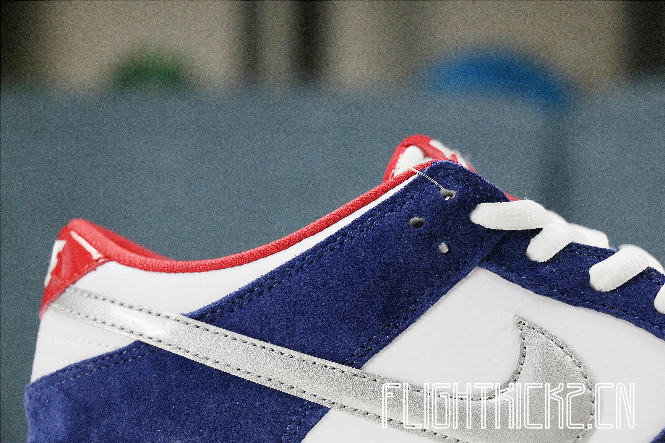 Nike Dunk SB Low Ishod Wair BMW