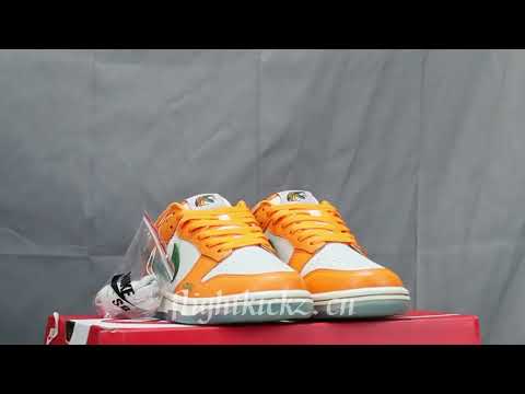 Nike Dunk Low Florida A&M University