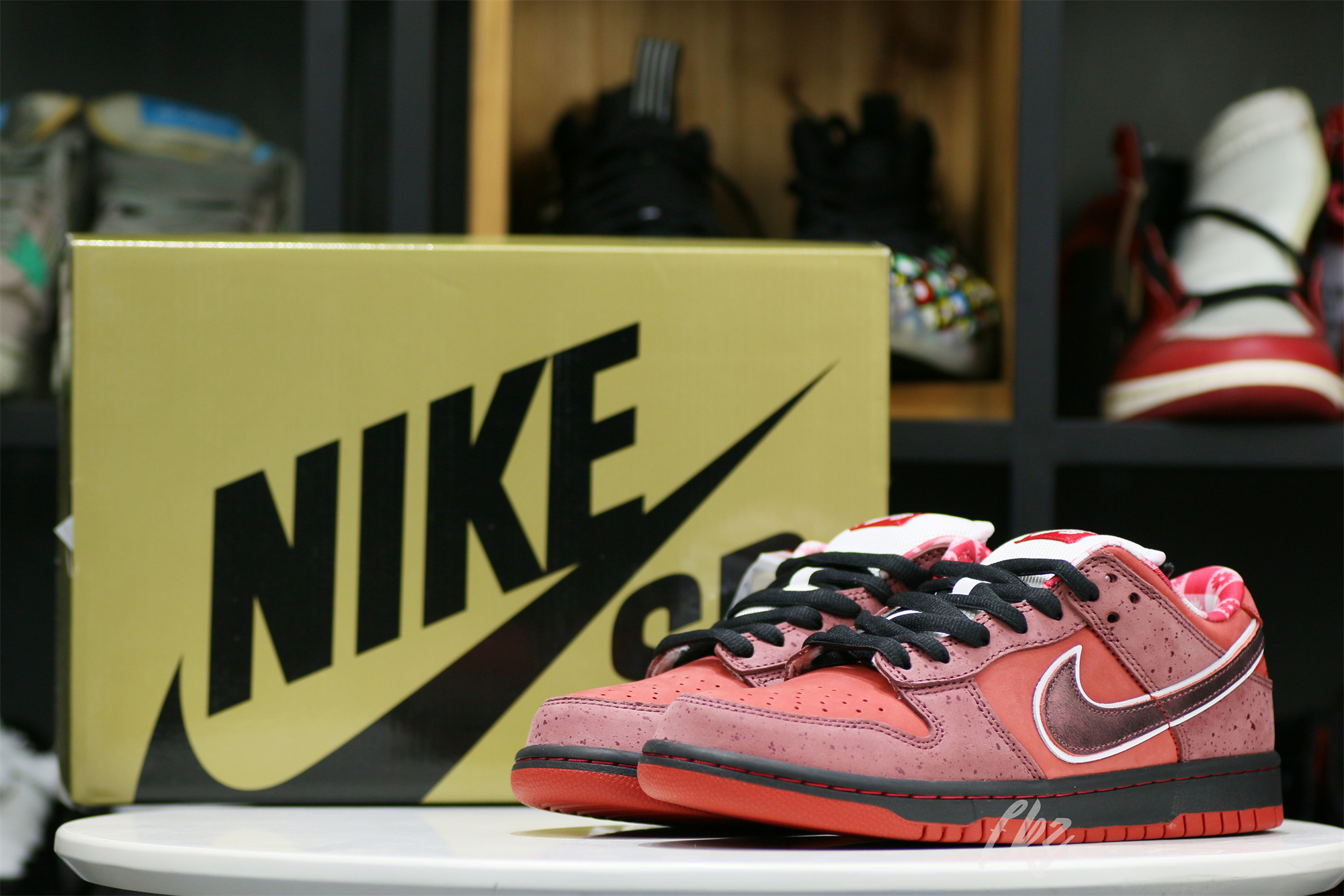 Nike SB Dunk Low Concepts Red Lobster