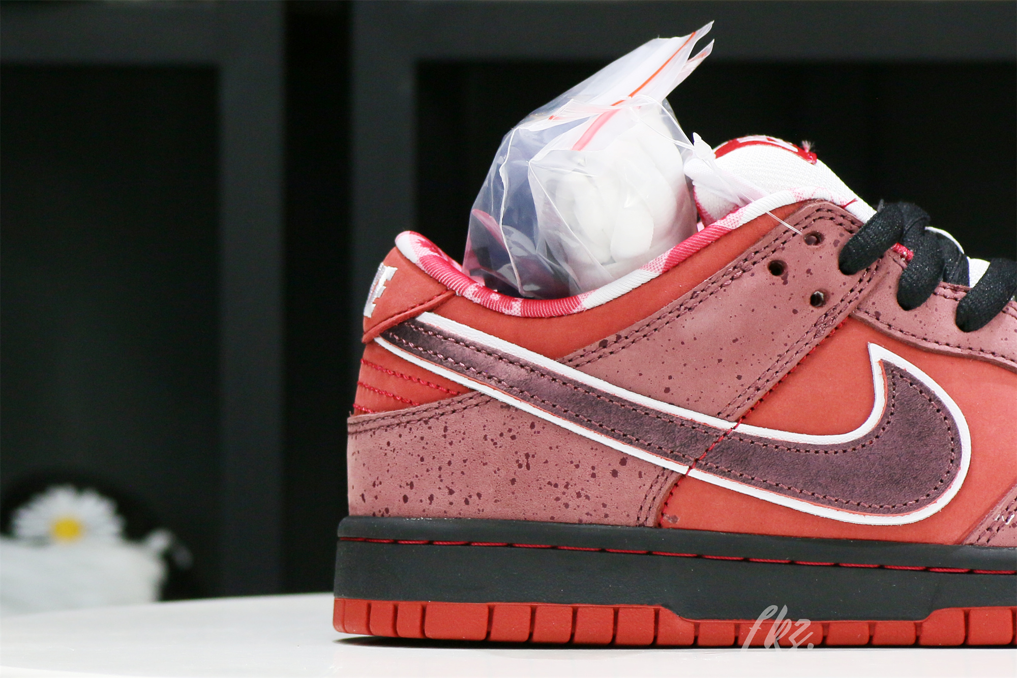 Nike SB Dunk Low Concepts Red Lobster