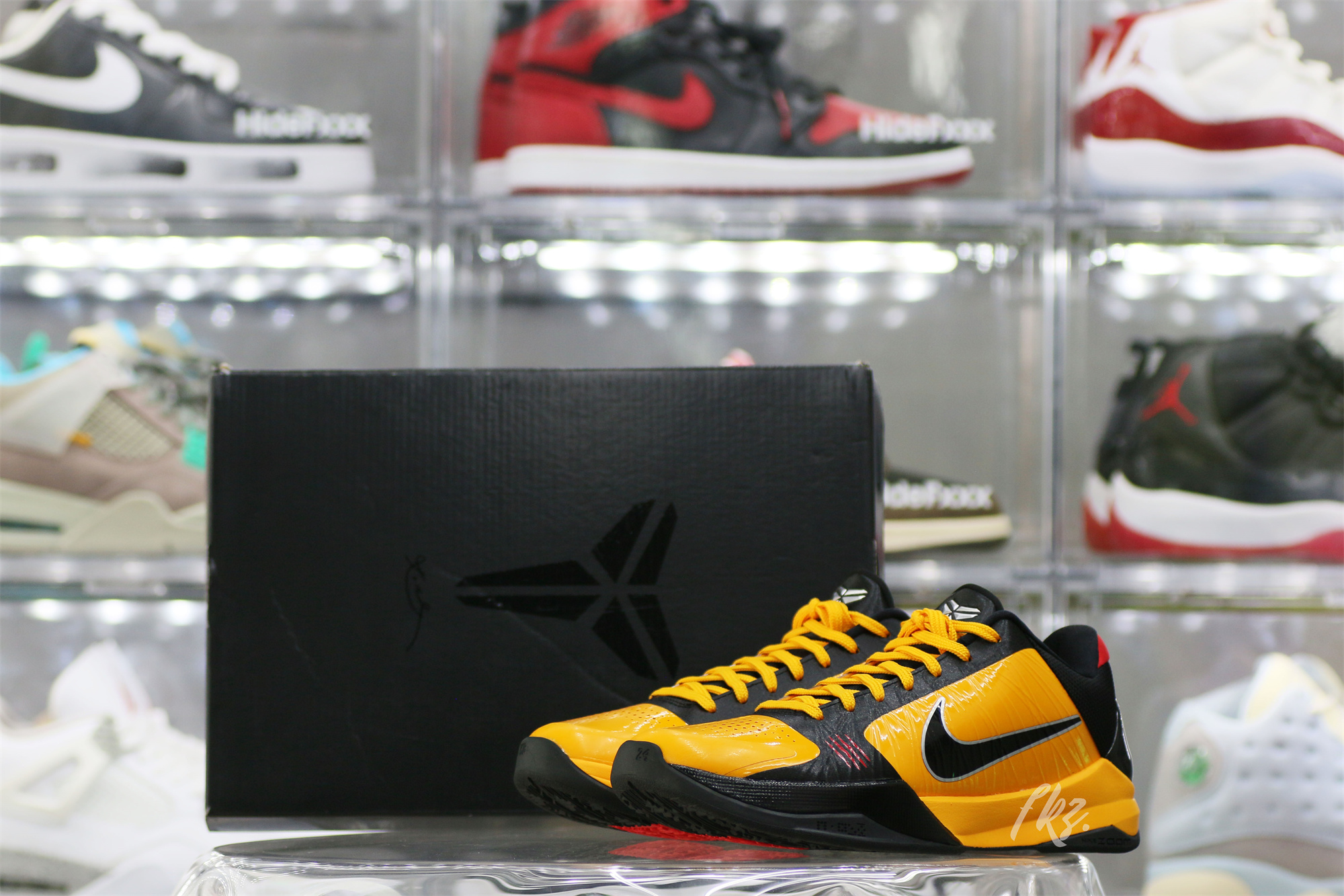 Nike Kobe 5 Protro Bruce Lee (Up to Size 14）(A1 Batch)