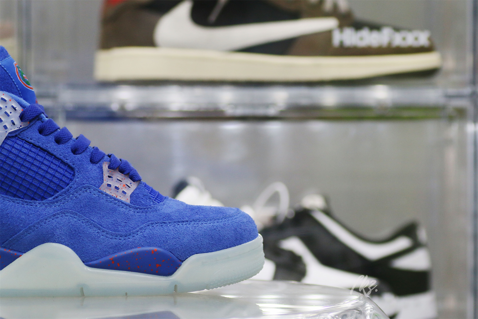 Air Jordan 4 Florida Gators PE