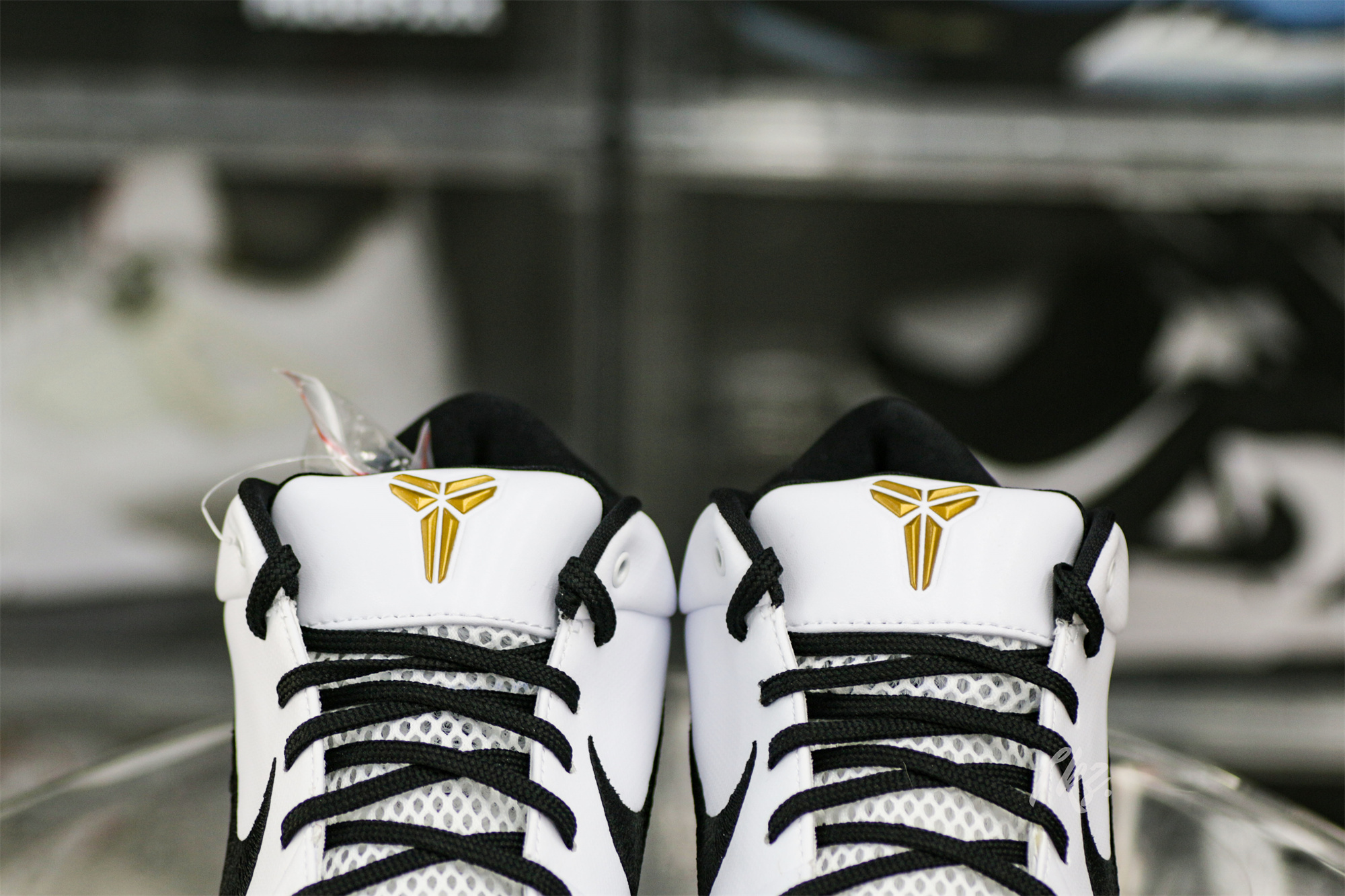 Nike Kobe 4 Protro Mambacita Gigi(A1 Batch)