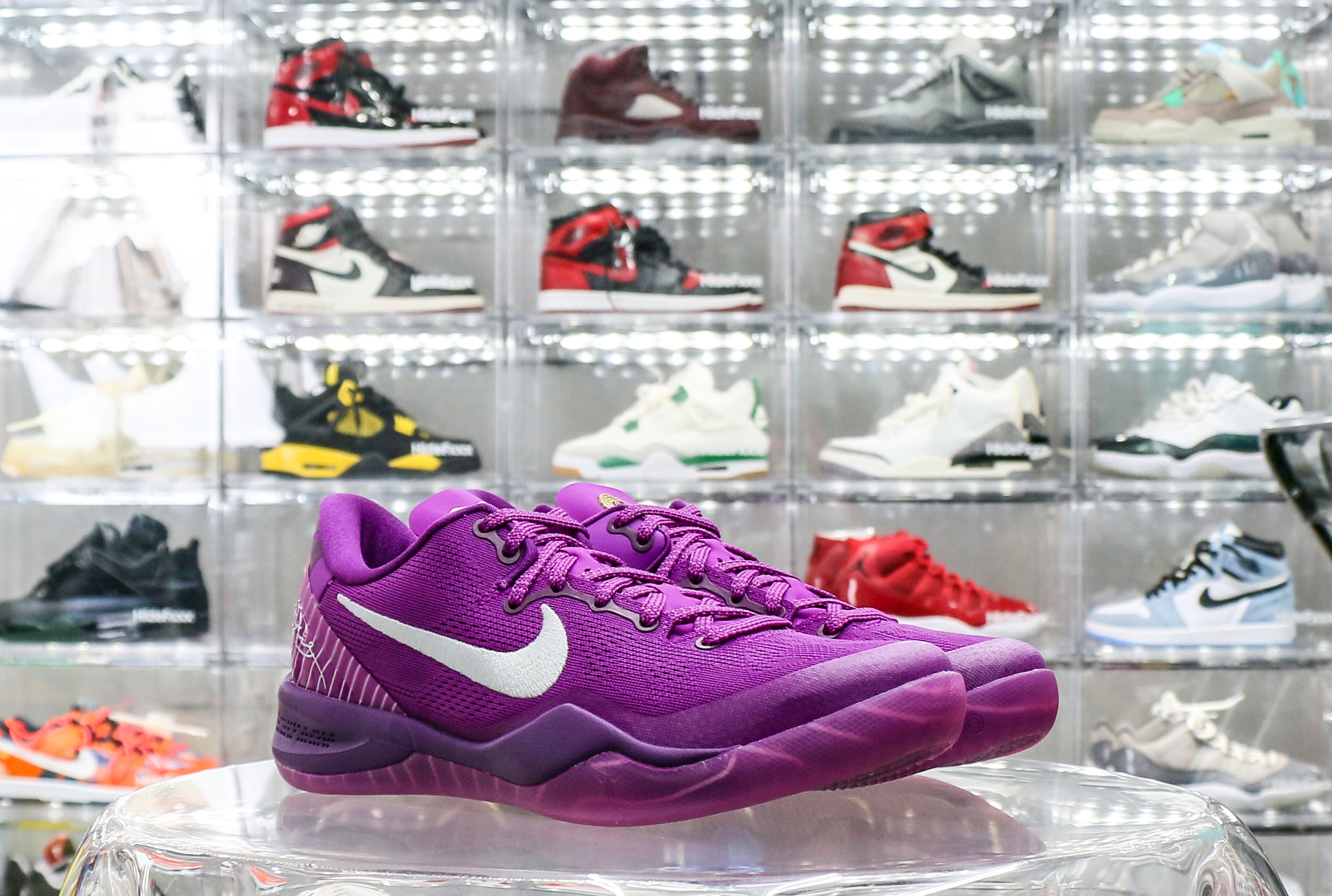 Nike Kobe 8 Protro EYBL 2024（Ln5 A1）