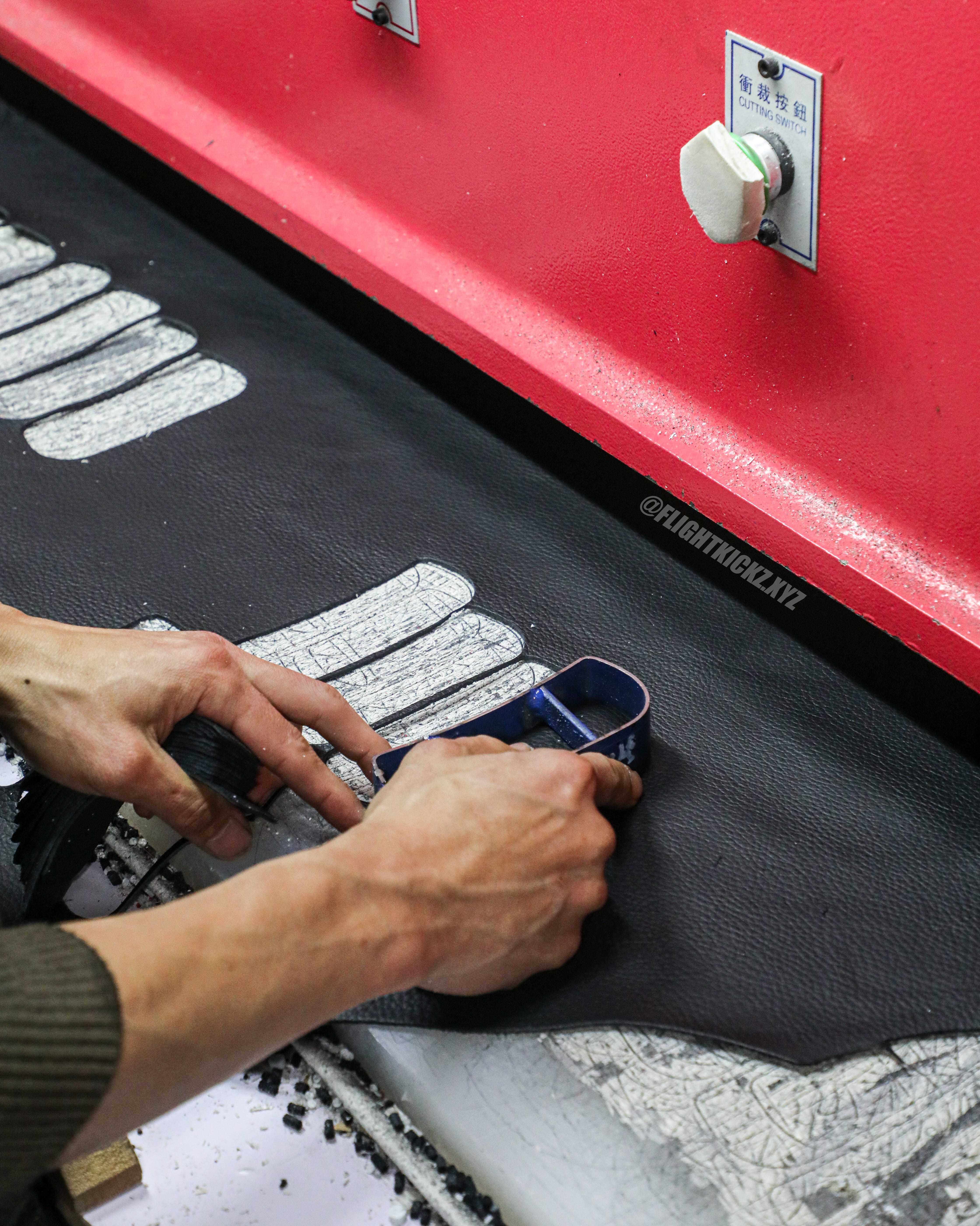 Air Jordan 12 Retro Flu Game 2025 (Ln5 A1)